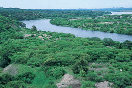 CIUDAD LAZARO CARDENAS , MICHOACAN